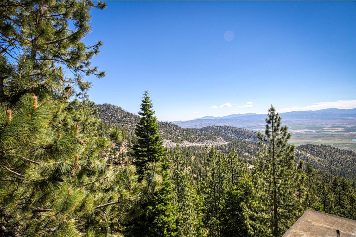 Popular attractions Area Nearby Property